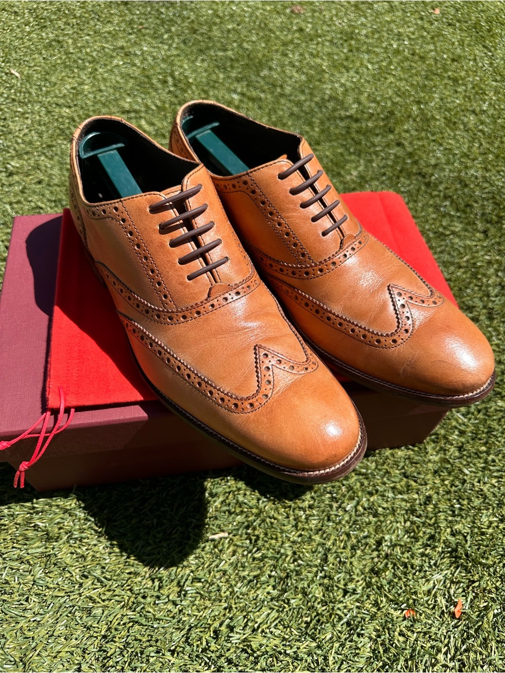 Cole Haan (burnt orange) Wingtip Derby Oxfords